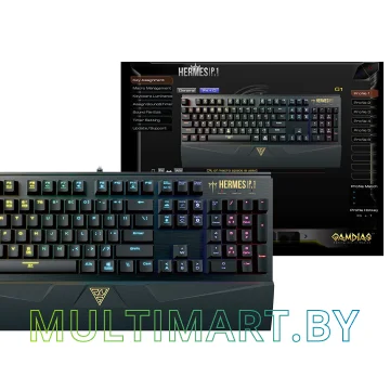Клавиатура Gamdias Hermes P1 (Black Switches) картинка 5